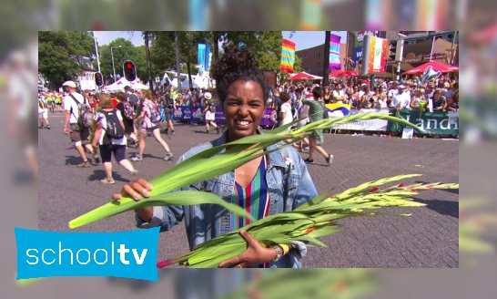 Plaatje Waarom krijgen wandelaars van de Nijmeegse Vierdaagse gladiolen?