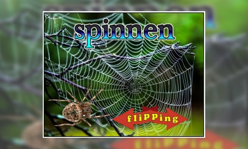 Flipping - Spinnen