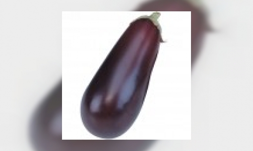 Plaatje Aubergine