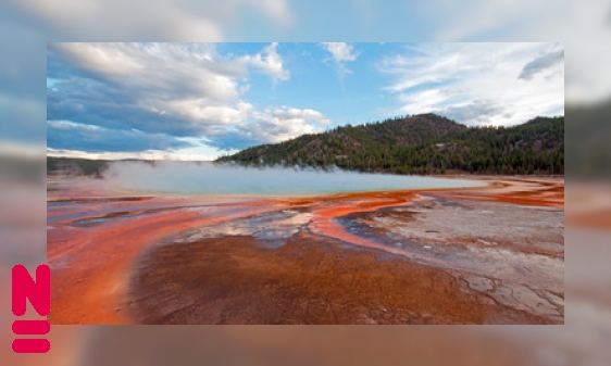 Plaatje Het mysterieuze leven van archaea