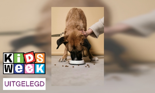 Plaatje Uitdrukking uitgelegd: 