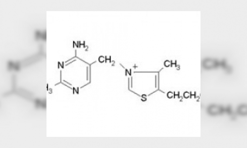 Plaatje Hoe zien vitamines eruit?