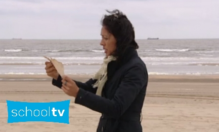 Nieuws uit de Natuur ; Stranden en duinen