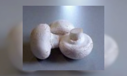 Plaatje Champignons