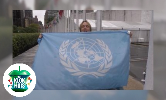 Plaatje Verenigde Naties