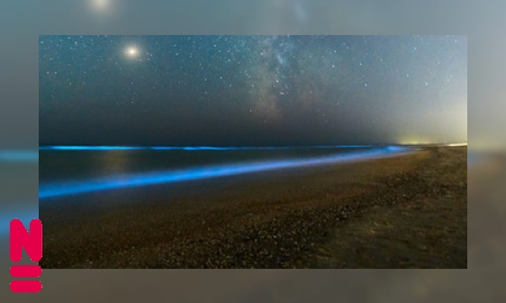 Plaatje Lichtgevende golven door zeevonk