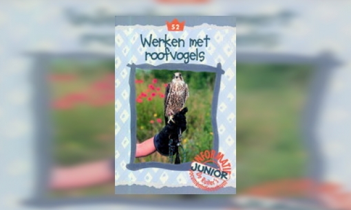 Plaatje Werken met roofvogels