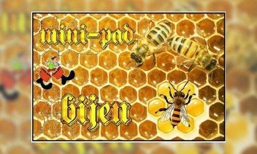 Plaatje Mini-pad bijen