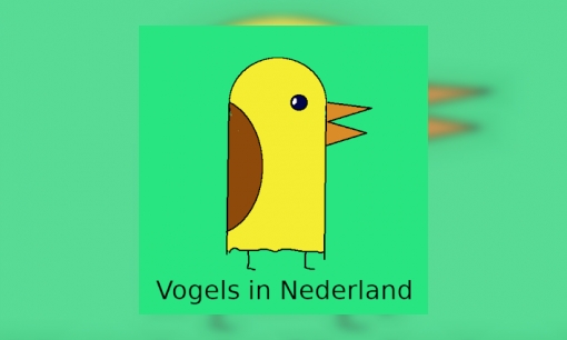 Plaatje Vogels in Nederland