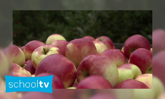 Plaatje Hoe komen appels in de winkel?