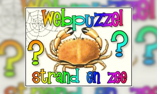Plaatje Webpuzzel Strand
