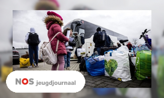 Alles over de nieuwe opvang-wet voor asielzoekers