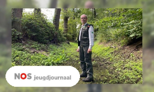 Plaatje Droogte heeft grote gevolgen voor de natuur