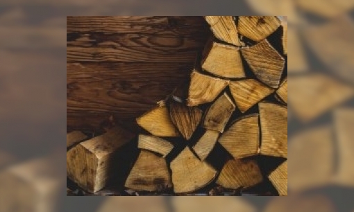 Plaatje Hoe wordt hout gemaakt?