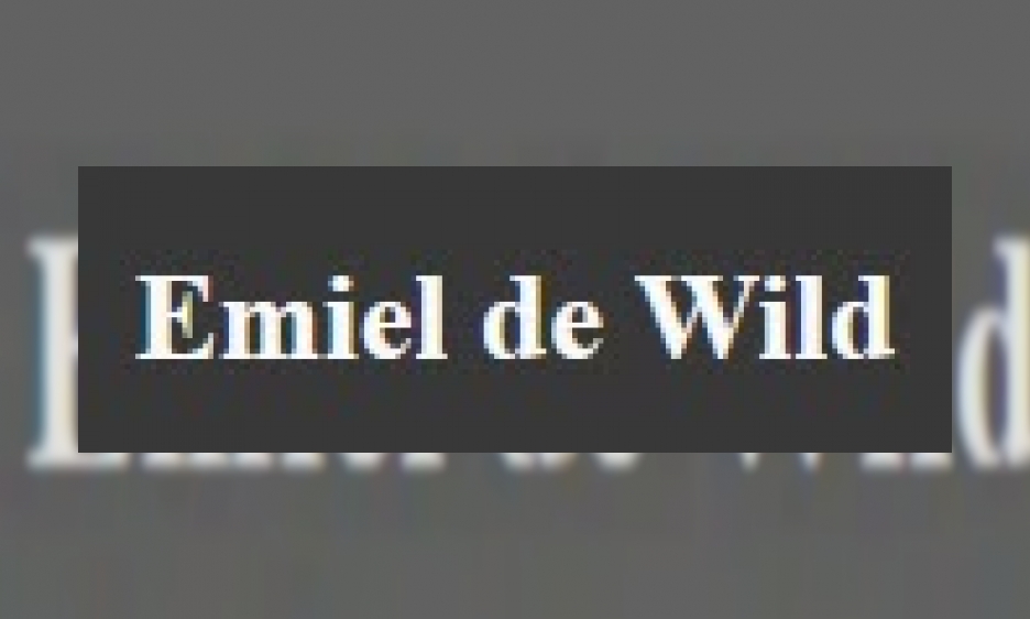 Plaatje Emiel de Wild