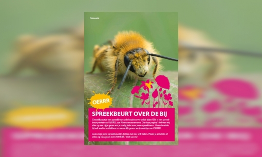 Spreekbeurt over de bij