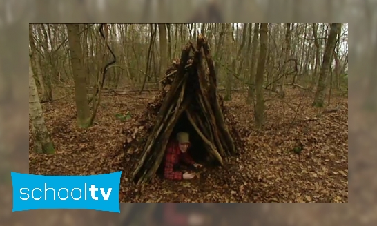 Plaatje Hoe bouw je een hut in het bos?