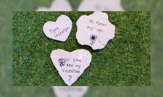 Valentijntip: zaaipapier maken