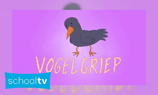 Wat is vogelgriep?