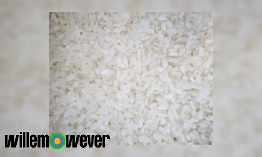 Plaatje Hoe worden rijstwafels gemaakt?