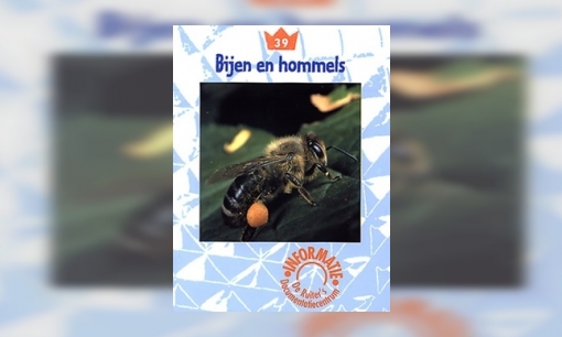 Bijen en hommels