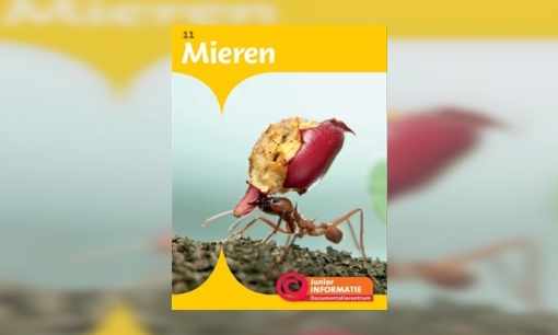 Mieren