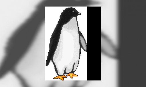 Plaatje Pinguïns