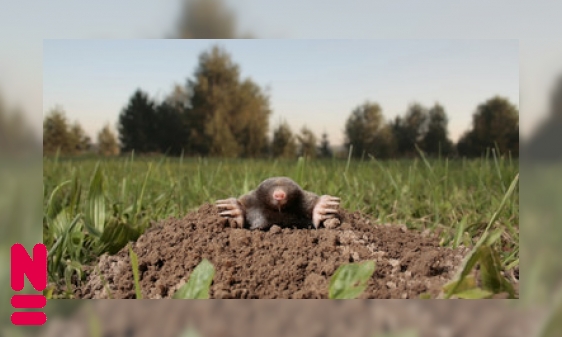 De weg vinden onder de grond