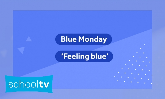 Plaatje Wat is Blue Monday?