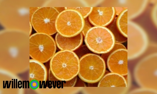 Plaatje Hoe is de sinaasappel in Nederland gekomen?