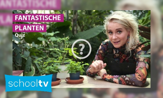 Quiz: Fantastische planten