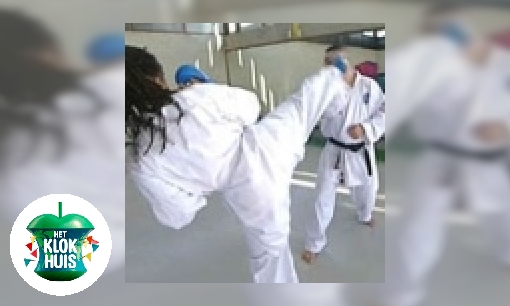 Plaatje Karate