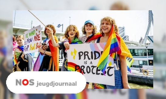 Plaatje Hoe is de Pride Month ontstaan?