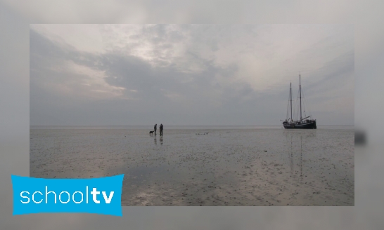 Verdwijnt de Waddenzee door klimaatverandering?