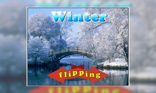 Plaatje Flipping - Winter