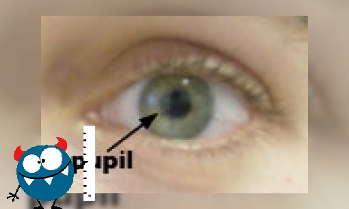 Plaatje Waarvoor zijn de zwarte pupillen van je ogen?