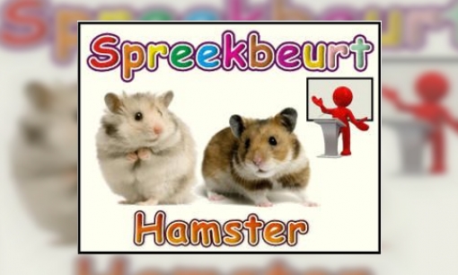 Plaatje Spreekbeurt Hamster
