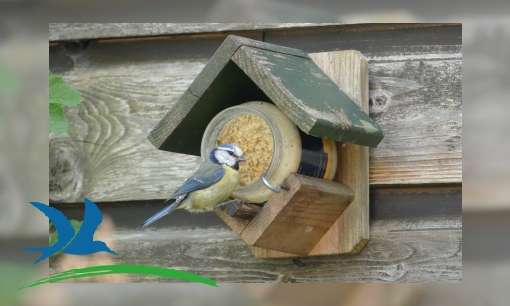 Plaatje Vogels voeren