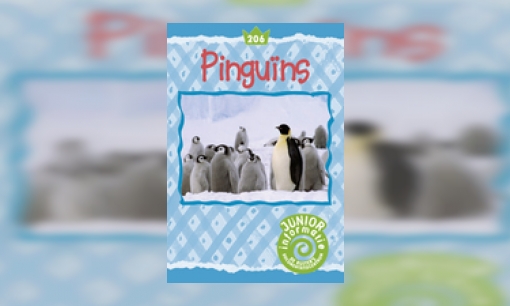 Plaatje Pinguïns
