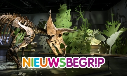 Plaatje Nieuws over dino