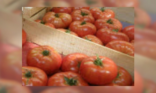 Plaatje Tomaten