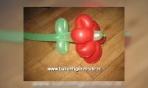 Plaatje De ballonfigurensite