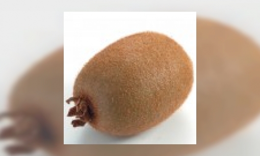 Plaatje Kiwi