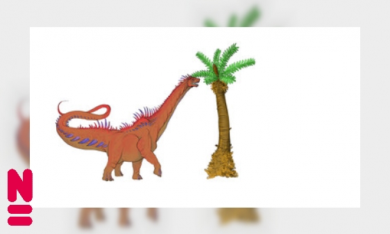 Plaatje Palmvaren overleeft dinotijd