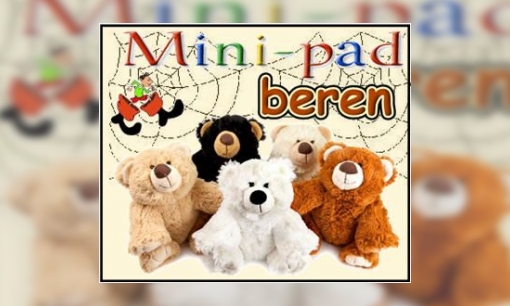 Plaatje Mini-pad beren