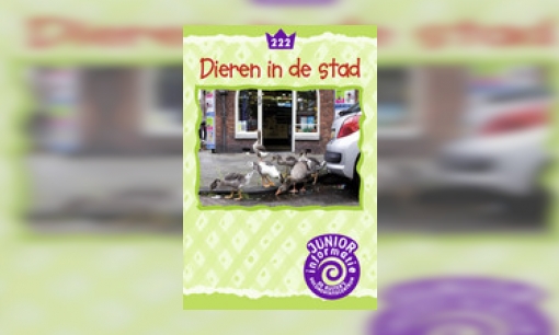 Dieren in de stad