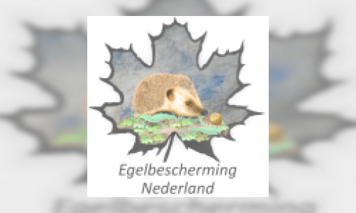 Plaatje Egelbescherming Nederland