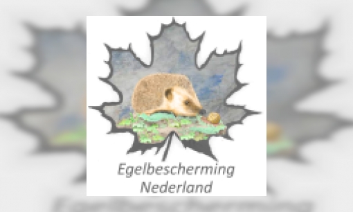 Egelbescherming Nederland