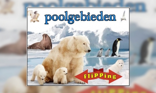 Plaatje Flipping - Poolgebieden