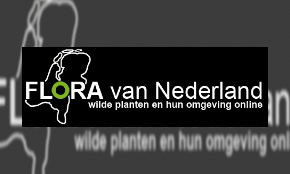 Flora van Nederland